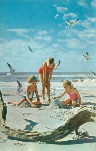 Florida Beach Kids Building Sand Castle, Driftwood, Gulls 1968 Chrome Postcard