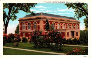 Gymnasium, State Teachers College Kutztown PA Vintage Postcard P58 