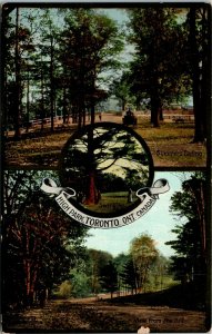 Postcard ON Toronto High Park Multi-View Towards the End of Summer ~1910 K25