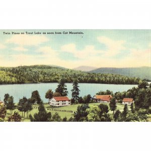 Twin Pines on Trout Lake as seen from Cat Mountain - Adirondacks, New York