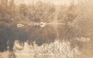 LPS43 Lyndeborough New Hampshire The Eddy Postcard RPPC