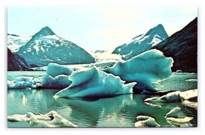 Portage Glacier Kenai Peninsula Alaska Postcard # 2