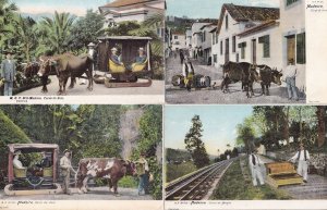 Madeira Carro De Bois Monte 4x Antique Spanish Postcard s