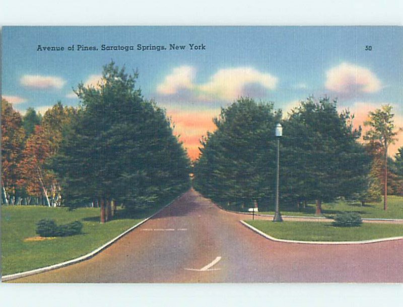 Linen AVENUE OF PINES Saratoga Springs New York NY AD6718