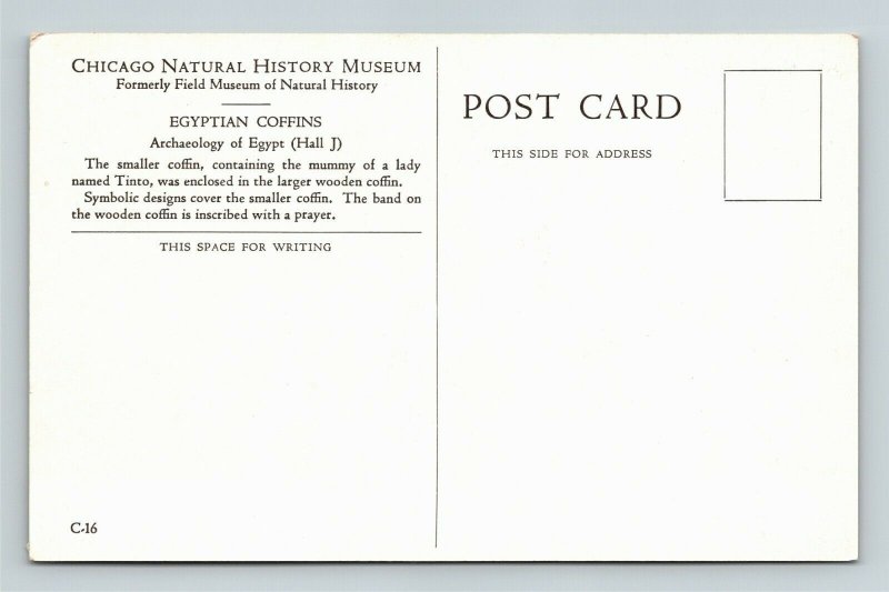 Chicago IL-Illinois, Natural History Museum, Egyptian Coffins, Chrome Postcard
