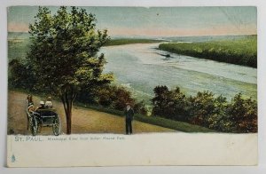 Minnesota St. Paul Mississippi River from Indian Mound Park Tuck Postcard S17