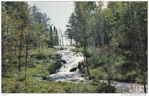 Tumbling Stream, White River Court, Sayward, British Columbia, Canada, 40-60s