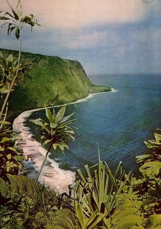 Waipio Valley Beautiful Coastline Native Food Poi Big Island Hawaii Postcard