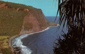 WAIPIO VALLEY Hamakua Coast, Island of Hawaii c1960s Vintage Postcard