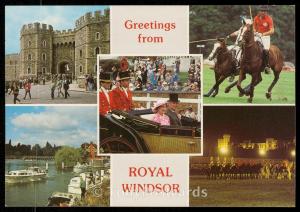 Greetings from Royal Windsor