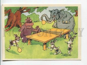 483554 USSR 1960 Bazhenov champions ping pong table tennis hippo elephant hare