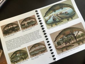 ALLIGATOR BORDER POSTCARDS Book by John S Adams A Tour of Early Florida 