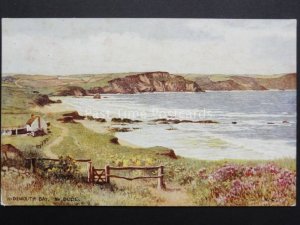 Cornwall: Widemouth Bay Near Bude - by J.Salmon No.3993