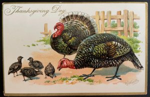 Vintage Victorian Postcard1909 Thanksgiving Day - Turkey Family