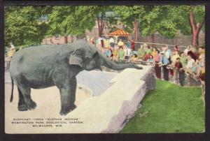 Indian Elephant Washington Zoo Milwaukee WI Postcard 