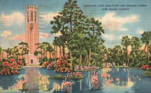 Vintage Postcard 1938 Mountain Lake Sanctuary & Singing Tower Lake Wales Florida