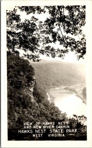 Real Photo Postcard River Canyon Hawks Nest State Park Ansted West Virginia~3316