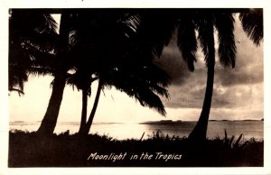 Hawaii Beautiful Moonlight Scene Real Photo