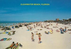 Florida Clearwater Beach Sun Bathers