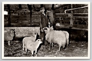 Netherlands Schaapskudde Epe-Heerde Sheep with Teun Niesing RPPC Postcard M34