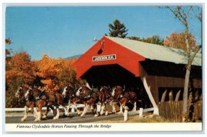 c1950's Jackson Covered Bridge Horses White Mountains New Hampshire NH Postcard