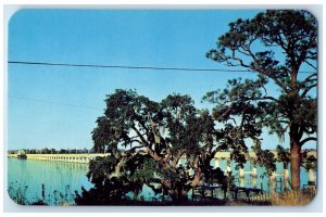 c1960's Bridge Crossing The Beautiful Back Bay Biloxi Mississippi MS Postcard