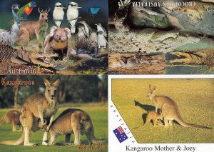 Crocodiles in Australia Wildlife Kangaroos 4x Australian Postcard s