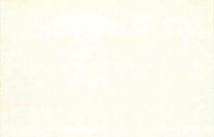 MN, Rochester, Minnesota, Fiksdal Flowers, Store Front, Dexter