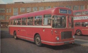 Cardiff Wales 75 1967 Bristol Built Bus Transport Vintage Photo Postcard