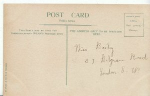 Surrey Postcard - Waggoners Wells - Hindhead    A8636