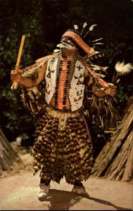 Yosemite American Indian Chief Lemee Indigenous Costume Vintage Postcard
