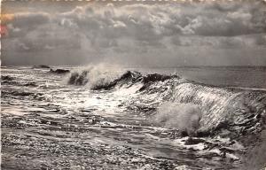 BG7606 insel sylt  germany CPSM 14x9cm