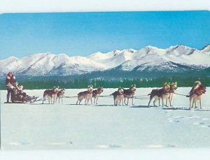 Pre-1980 HUSKY DOG TEAM Sitka & Juneau & Fairbanks & Anchorage Alaska AK AG6073