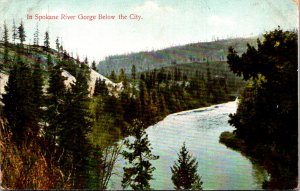 Washington View In Spokane Gorge Below The City