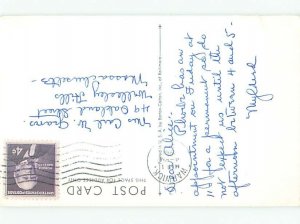 1950's SOLOMON PILAND FRUIT PIGEON BIRD AC7095