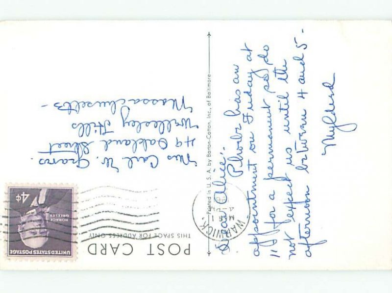 1950's SOLOMON PILAND FRUIT PIGEON BIRD AC7095