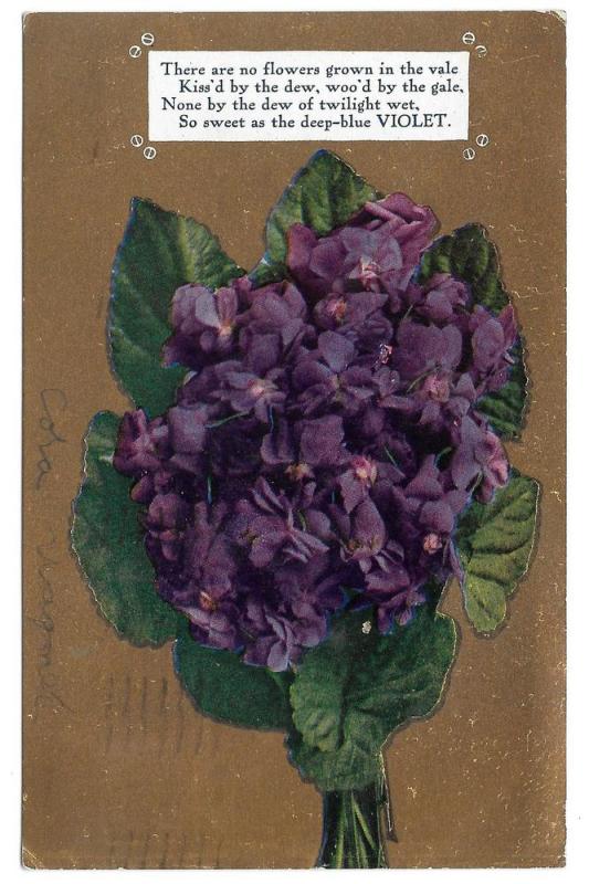 Motto Poem 1910 Postcard Flowers Deep Blue Violets on Gold 