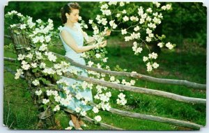 Postcard - Bloom of Spring, Lake of the Ozarks Dogwood Festival - Camdenton, MO