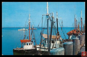Cape Cod Fishing Boats at Dock, Mass
