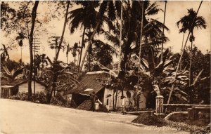 PC CPA MALAYSIA, MALAY VILLAGE, VINTAGE POSTCARD (b12099)