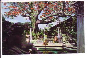 Kapok Tree Inn, Clearwater, Florida, 