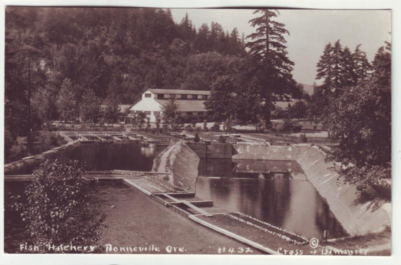 P490 JLs vintage RPPC fish hatchery bonneville ore