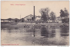 TOUL , France , 00-10s ; L'Usine Frigorifique