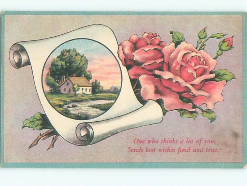 Divided-Back BEAUTIFUL FLOWERS SCENE Great Postcard AA2258