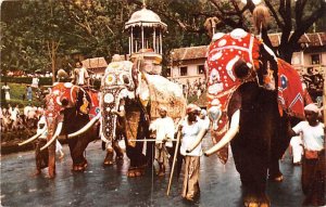 Pageant in the East, Elephants Kandy Ceylon, Ceylan Unused 
