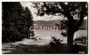 Postcard Modern Saint Ferreol The pond and pine