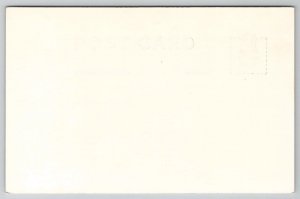 RPPC Oregon Coast Highway Coast Line South Toward Humbug Mt. Sawyer Postcard B41