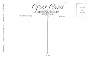 Dog , Wire Fox Terrier and SCotch Terrier