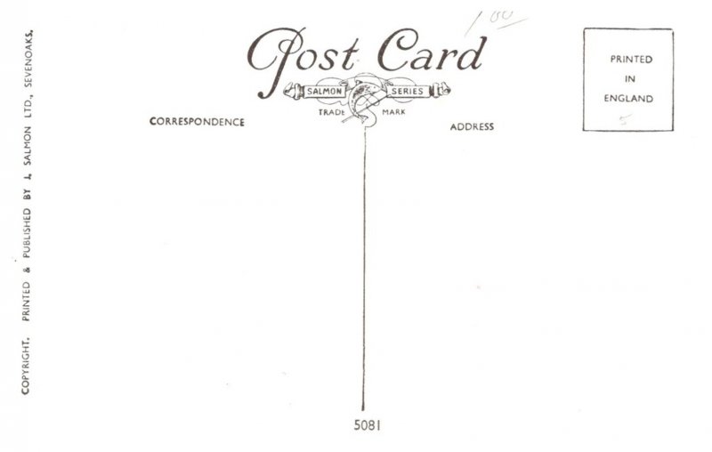 Dog , Wire Fox Terrier and SCotch Terrier