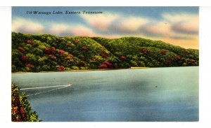 TN - Watauga Lake Scene